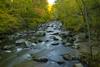 Still at Rock Creek Park